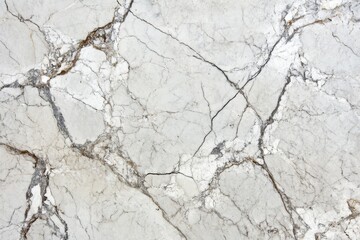 Obraz premium Sophisticated white marble pattern featuring intricate gray evening across its face. This authentic stone finish offers an elegant and stylish look