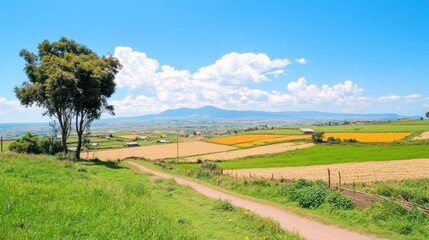 Obraz premium Scenic Rural Landscape with Dirt Road Rolling Fields and Distant Mountains under a Sunny Sky