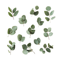 Obraz premium green leaves on a transparent background, PNG image, PNG file, Generative art.
