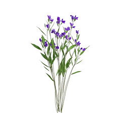 Fototapeta premium purple flowers in a white vase on a transparent background, PNG image, PNG file, Generative art.