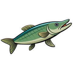 Pike fish isolated flat vector illustration on white background