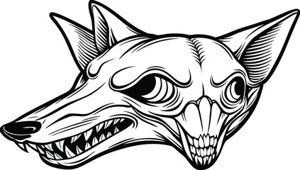 Obraz premium Coyote Skull with Teeth Detail