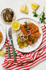 Pork Schnitzel with Pickled Cucumber Salad. top veiw.selective focus