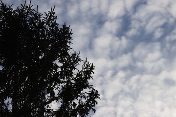 Autumn in an urban park