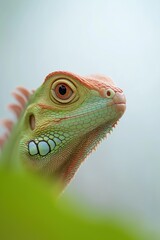 Fototapeta premium A lizard with a green and red face is looking at the camera. The lizard has a green and red body and is sitting on a leaf