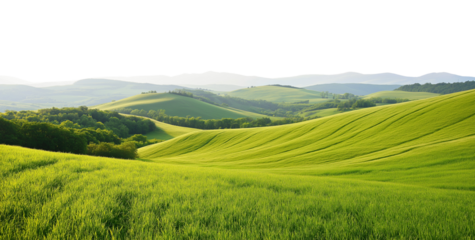 Beautiful green grass meadow landscape with hills, transparent background PNG