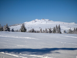 Obraz premium Winter Panorama of Vitosha Mountain, Bulgaria