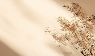 Fototapeta premium Aesthetic background with leaves shadow. Beige background with copy space for product displaying, branding and presentations