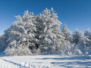 Winter Panorama of Vitosha Mountain, Bulgaria