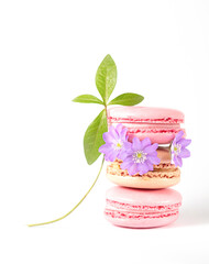 refined stack of pink and beige macarons adorned with vibrant purple flowers and a fresh green leaf on a clean white background. perfect composition for themes of sophistication, dessert, and beauty 