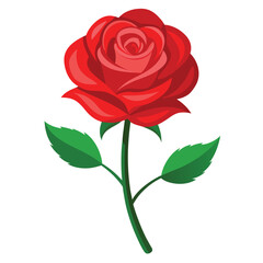Red Rose Vector Illustration - Cartoon, Clipart & Line Art Design.eps