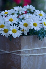 daisies Leucanthemum vulgare in a elegant and rural composition near an old lamp on the wood table in summertime lights