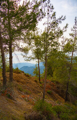 Mountain landscape in the Cyprus