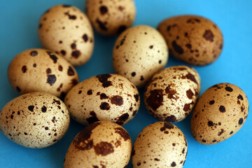 Obraz premium Few amount of quail eggs in small pile on blue background