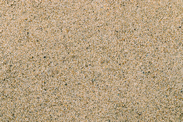 dirt road through a young birch grove in early spring, spring landscape