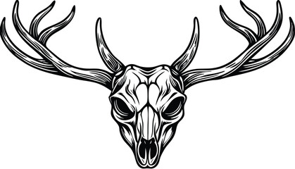 Deer Skull with Antlers