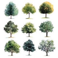 High resolution watercolor illustration of nine diverse trees showcasing various foliage and seasonal colors, High resolution tree illustration transparent background