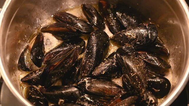 Mussels in a pot. Stewing shellfish in a pot ona a stove. Mediterranean mussel.