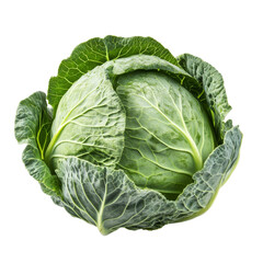 Fresh pointed cabbage displayed on a clean transparent background for culinary and botanical inspiration, pointed cabbage on transparent background