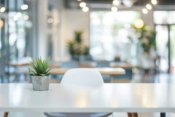 Modern cafe interior with plant on table