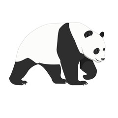 panda bear illustration,panda, animal polar bear
