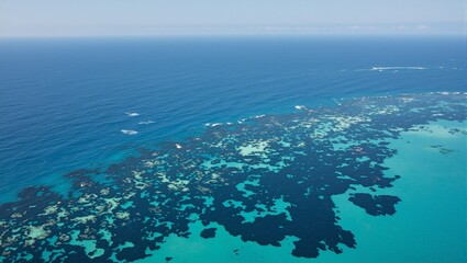 Polluted ocean surface with oil slicks