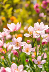 Naklejka premium Natures beauty in spring, blossoming flowers with fresh and soft petals, a colorful and vibrant garden background in sunlight, Paper Cutout style, with white tones