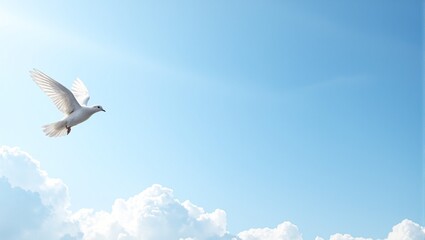 Fototapeta premium Majestic white dove soaring under radiant sunlight in a serene blue sky
