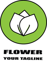 image of three leaves