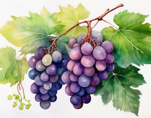 Fototapeta premium vibrant watercolor illustration of grape branches detailed closeup of lush green leaves and juicy bunches ideal for culinary or botanical themes fresh and inviting design