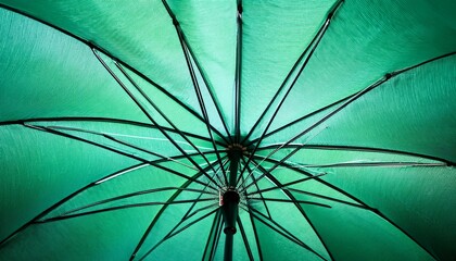surface of open green umbrella background close up