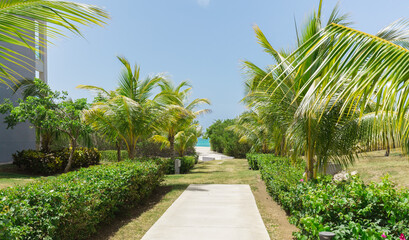 Gorgeous inviting path toward the beach and ocean through tropical garden on sunny beautiful day. Cayo Santa Maria,Cuba