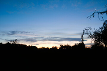 Cielo al atardecer con silueta de arboles 