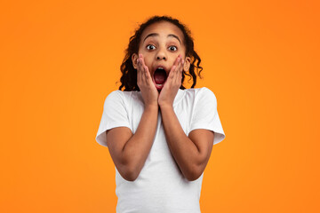 Omg. Portrait of excited surprised black girl touching her face and cheeks, looking at camera with open mouth, shocked by great offer, standing isolated over yellow orange studio background