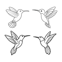 Obraz premium Set of Four Elegant Hummingbird Line Art Illustrations