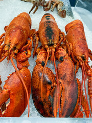 fresh lobster on ice