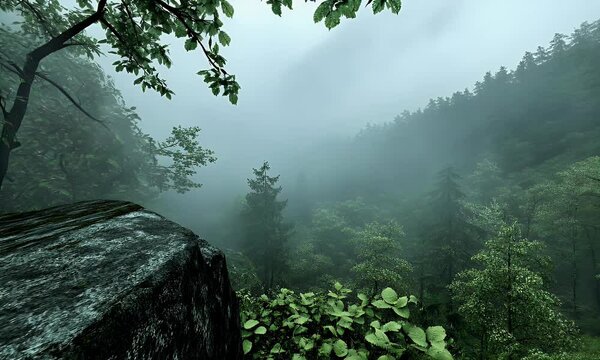 Serene Misty Forest Landscape with Lush Greenery, Dense Fog, and Tree Branches Framing a Tranquil View of Nature