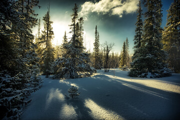 beautiful arctic winter landscape, very cold climate