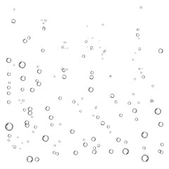 Oxygen air bubbles  flow  in water on white  background.