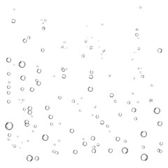 Oxygen air bubbles  flow  in water on white  background.