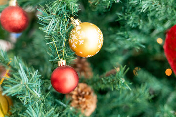 Festive celebration; Cozy Christmas - Indoor Christmas tree