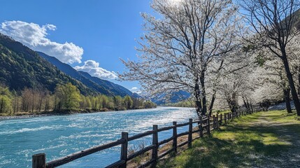 Sunlit river valley with blossoming trees and wooden fence.