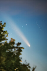 Comet © Martins