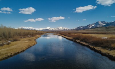 A smooth camera flight along the riverbank on a beautiful spring morning!