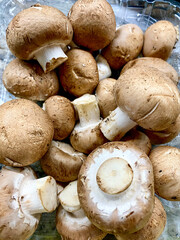Organic brown cap mushrooms Portobello mushrooms in different shapes and sizes top close-up view