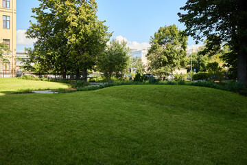 This serene park landscape features lush greenery and a variety of vibrant trees