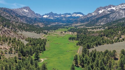 Naklejka premium Aerial view of a lush valley surrounded by mountains and forests under a clear blue sky.
