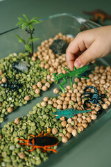 Educational sensory play setup for kids featuring plastic insects, rocks, a magnifying glass, and dry green peas and chickpeas in a glass container. Creative nature-inspired exploration activity