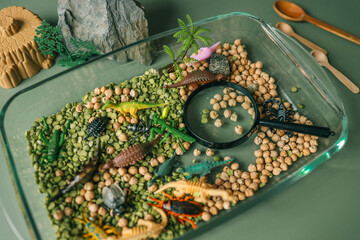 Educational sensory play setup for kids featuring plastic insects, rocks, a magnifying glass, and dry green peas and chickpeas in a glass container. Creative nature-inspired exploration activity