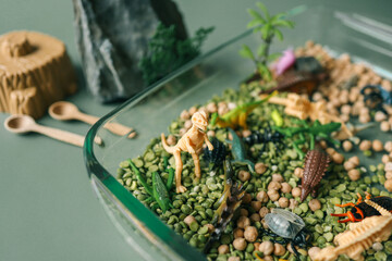 Educational sensory play setup for kids featuring plastic insects, rocks, a magnifying glass, and dry green peas and chickpeas in a glass container. Creative nature-inspired exploration activity